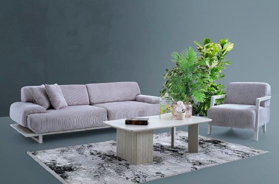 انتريه فيجن